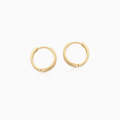18k yellow gold earrings in round shape hoops