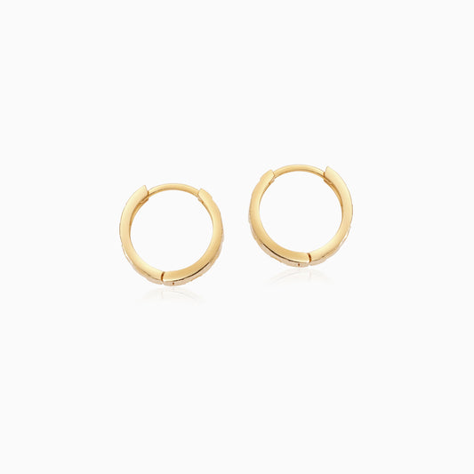 18k yellow gold earrings in round shape hoops