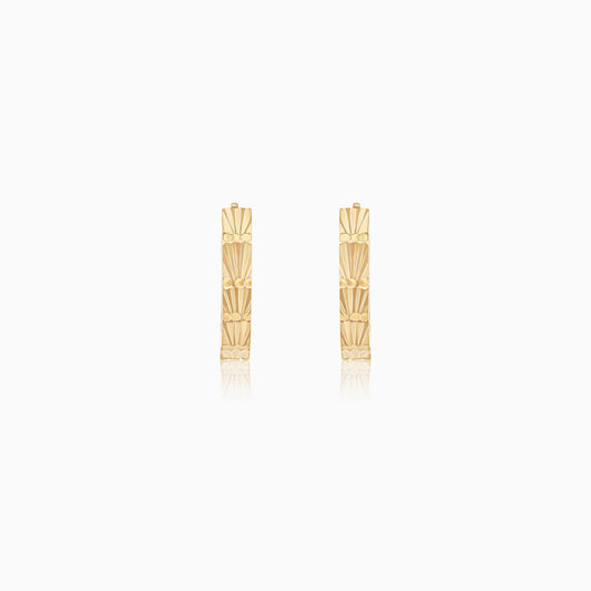 18K Yellow Gold Round Earrings for Women